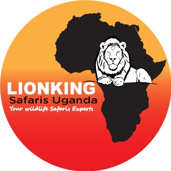 LOGO Lionking Safaris Ltd