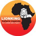 LOGO Lionking Safaris Ltd LOGO Lionking Safaris Ltd